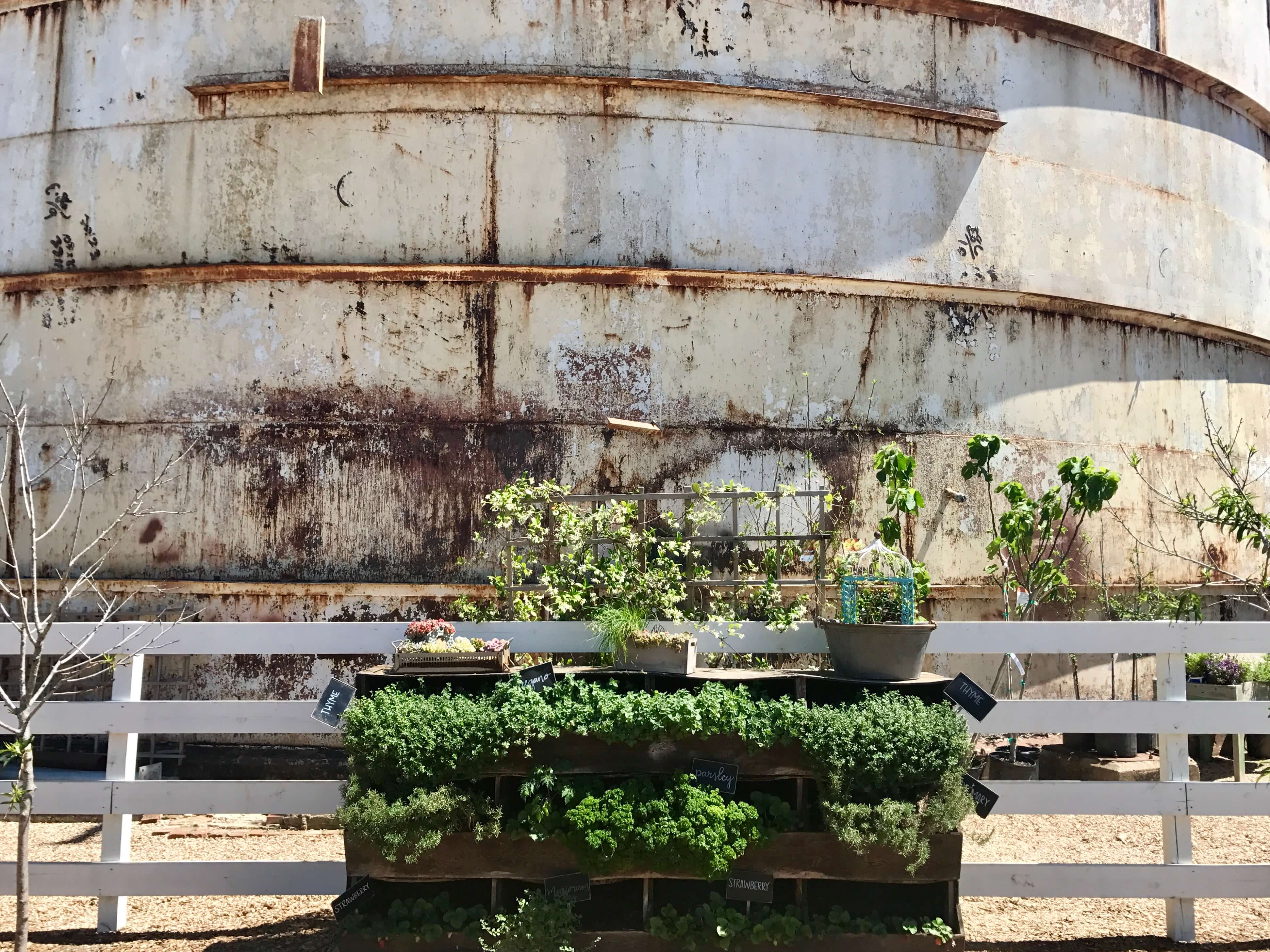 magnolia silos planter box