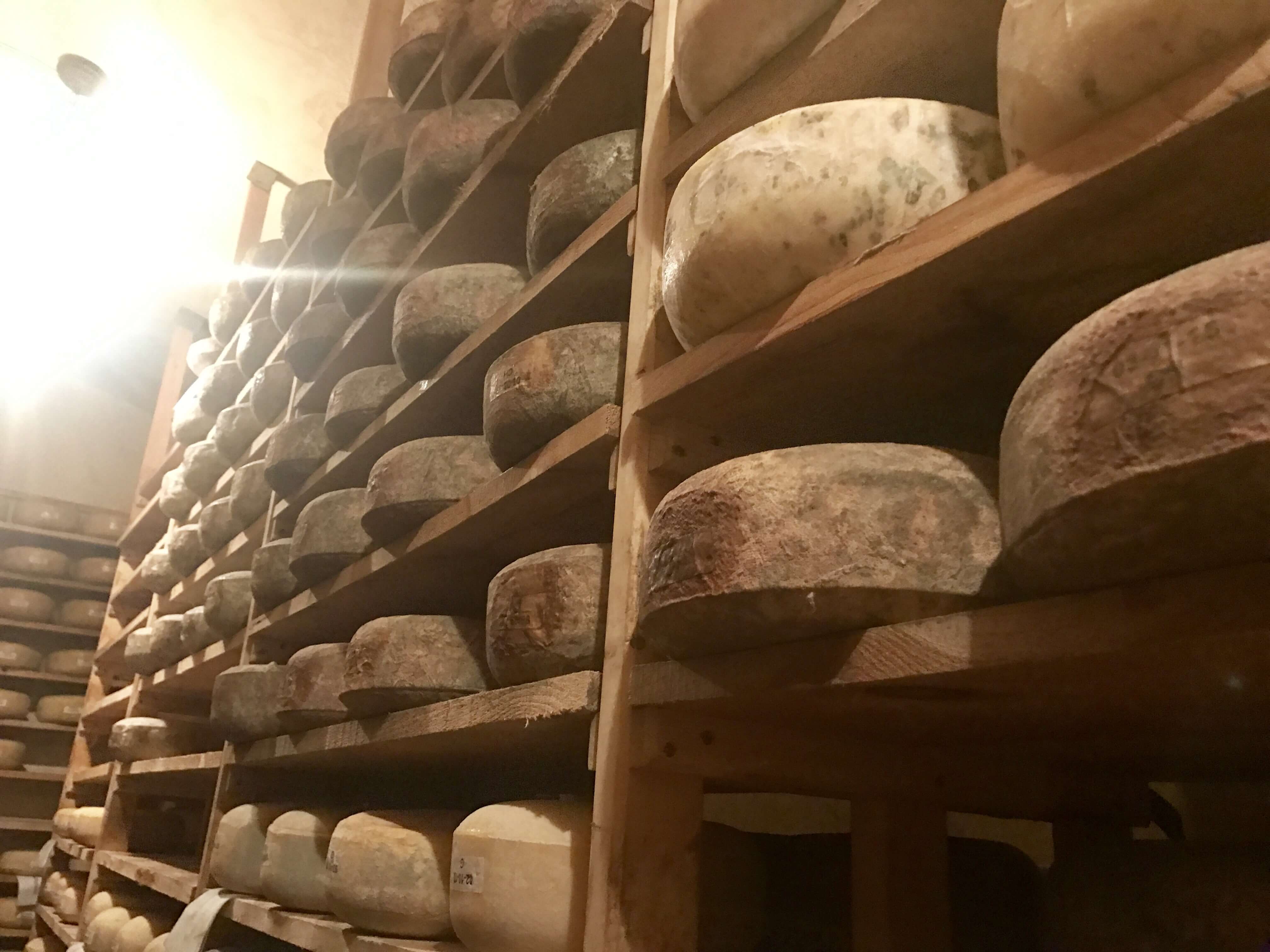 underground cheese cave