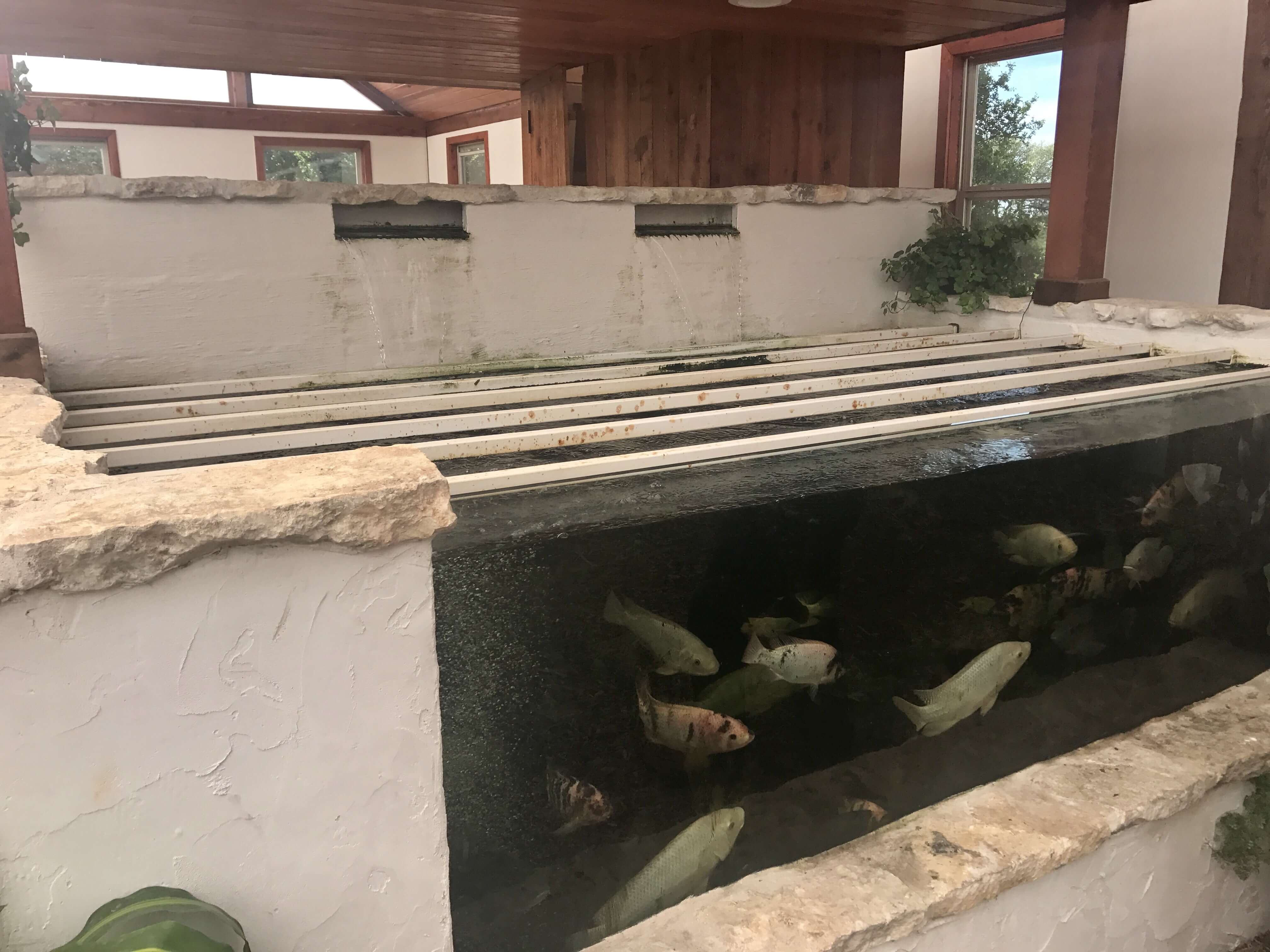 greenhouse fishtank