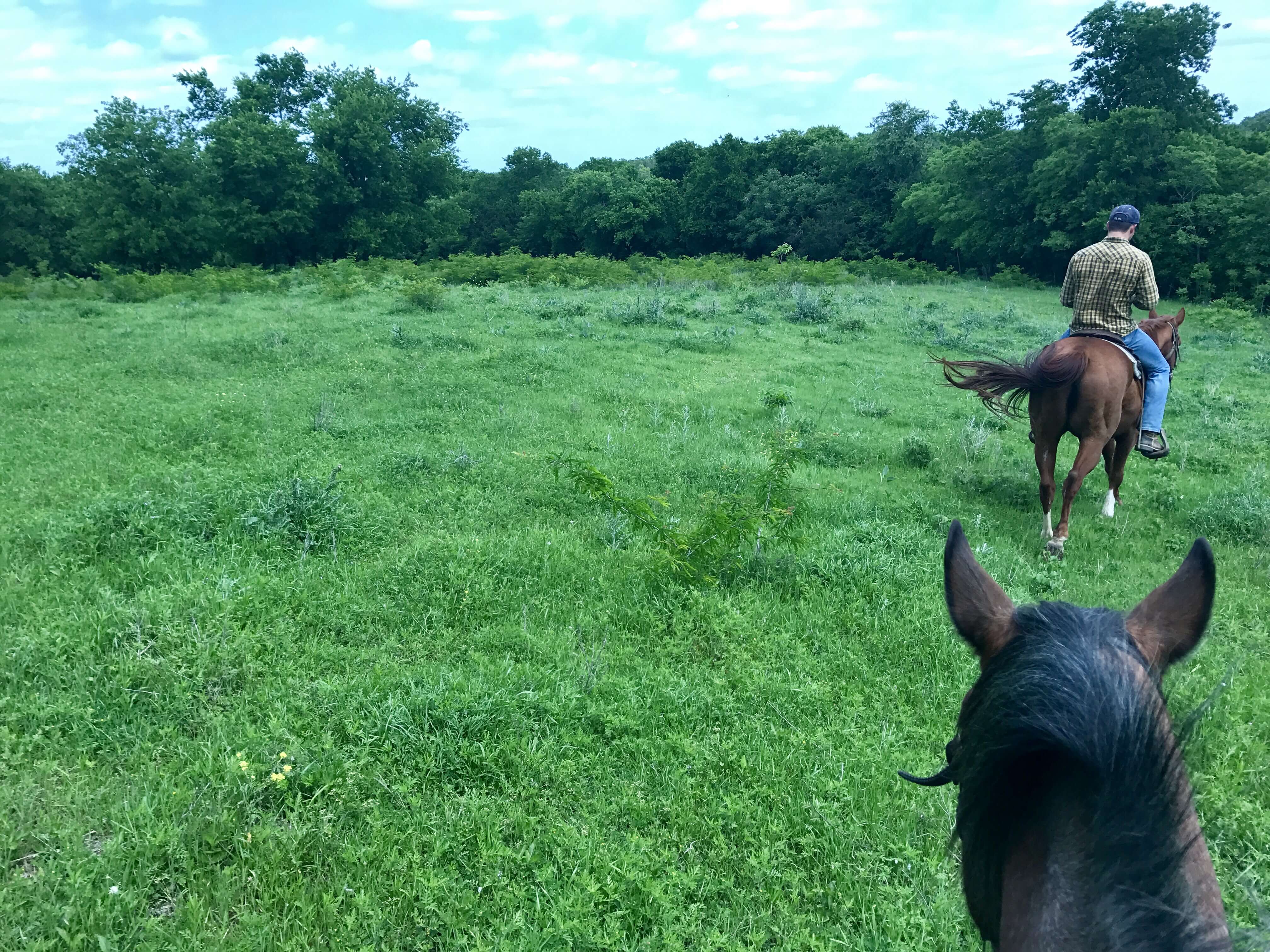 horseback view