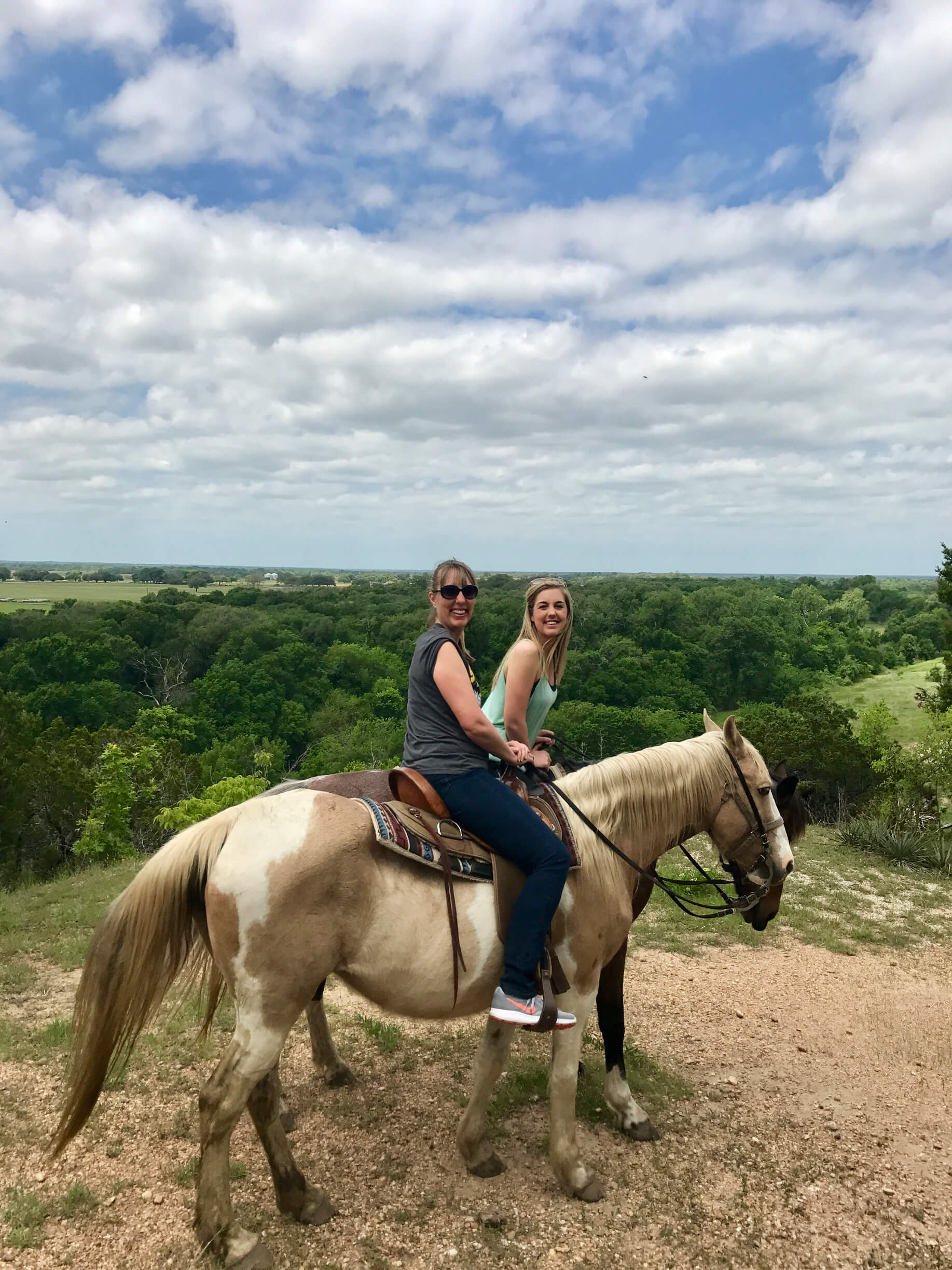 horseback riding top view