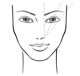 eyebrow chart