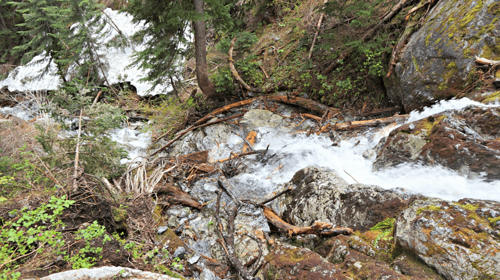rapids on snow lake trail