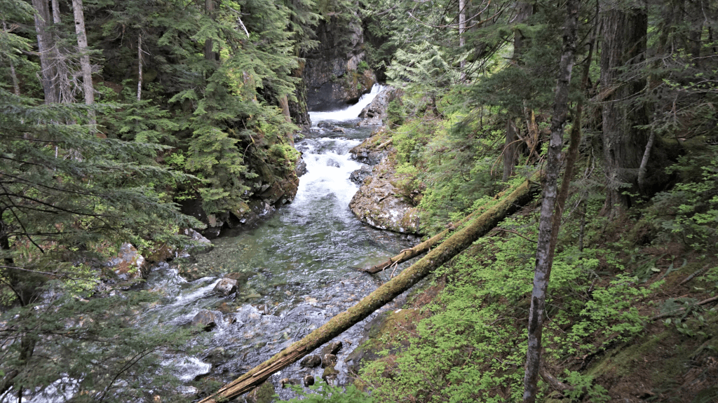 more river franklin falls trail