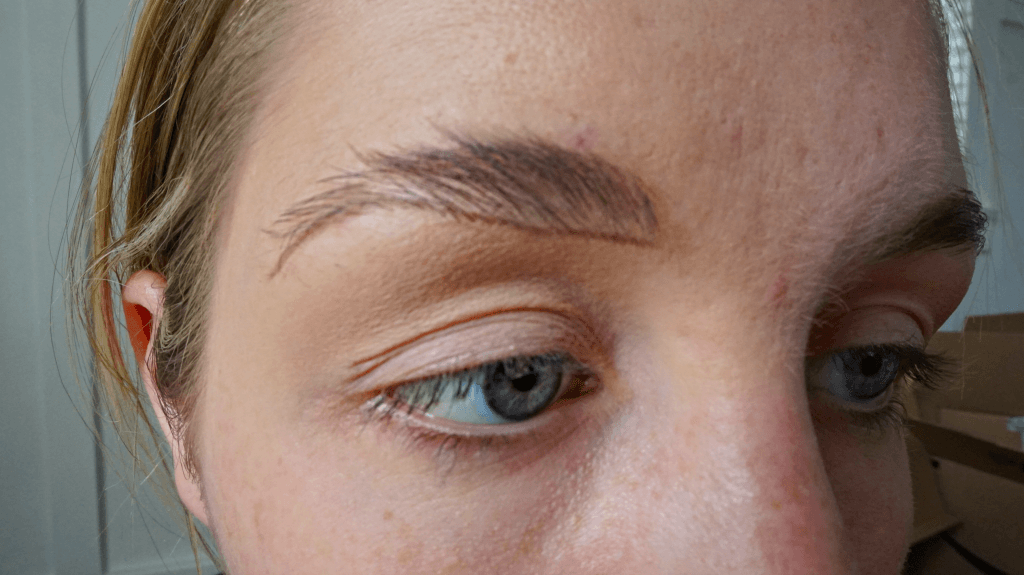 bottom line eyebrow